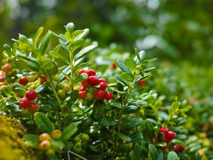 ��� ������� ��������: �� ���, �� ����� ������� �� ���� �������������