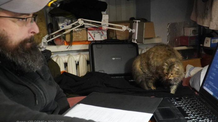 �������� ��������� ������� Ѻ�� � ���� ���������� ���� (����, ����)