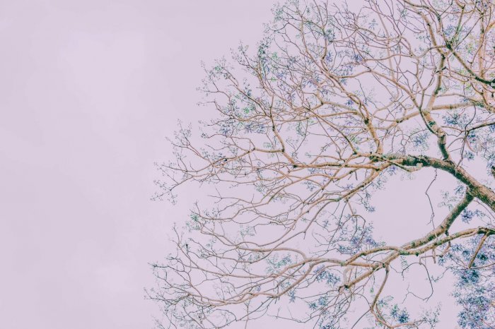 ��� 4 ������� �����, �� ���������� � ������ �� ��� � ��� ����, ��� ����� ��������, ��������