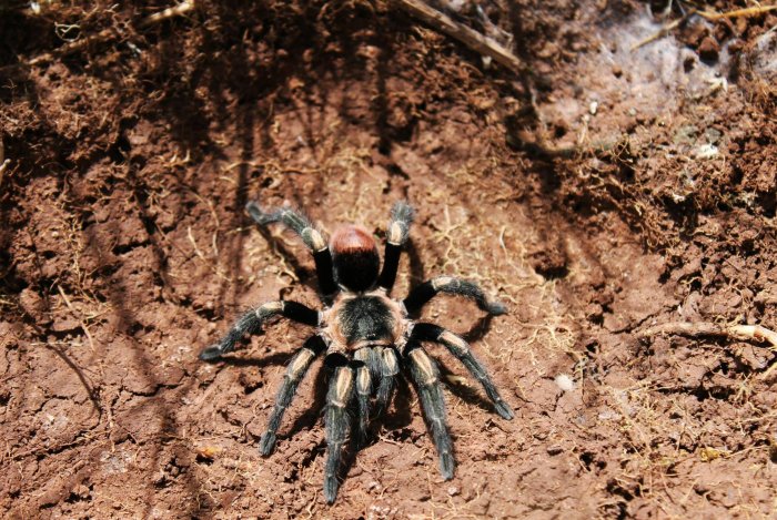 ��������� ������ � ��� ��� � �������: ������ �������� ����� ���������� �������� ������