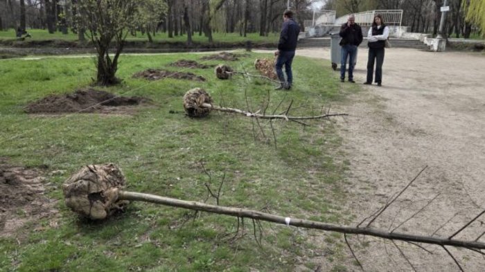 �� ������ � ���� ���������� � ������������ ����������� ����� �������� ���?