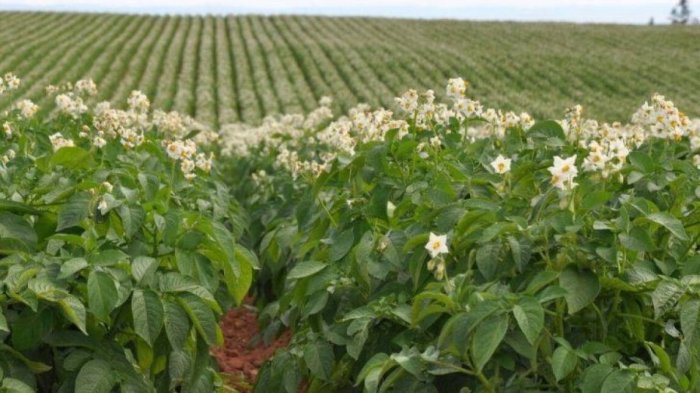 � ͳ��������� ��������� ������ ������������ ������� ������ ��������