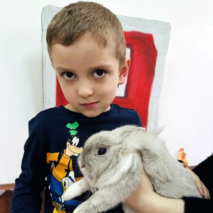 ���� ����