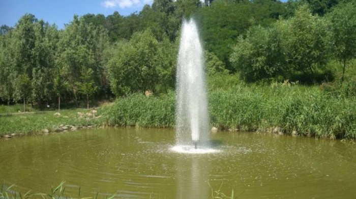 ����� ��������� ���� ���������� ����� � ������