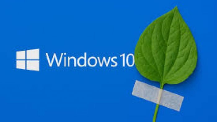 Microsoft ���������� ��������� Windows 10 �� 2027 ����