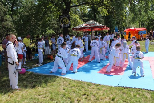 ,   :     “ ” ()