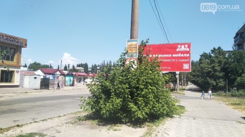 ,  :      “”   ()