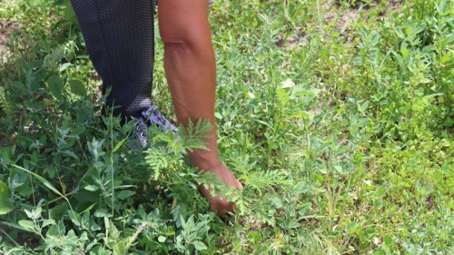 �� «�����» �������� ����� «���� ��� ��������»