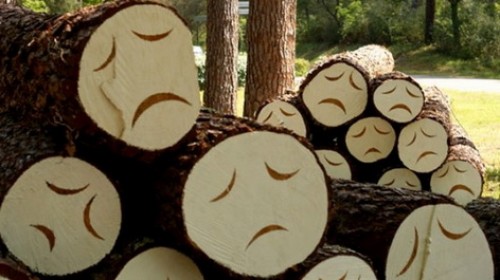 «������������» ������ 29 �������� � �������� �� ��� 27 ����� ������