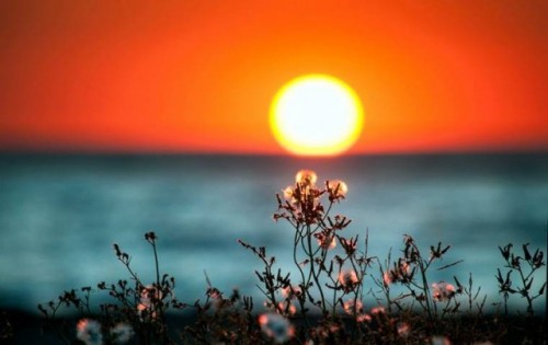 ���� ������� ������������� � ��� ����� � ������������� ��������� ������ �������