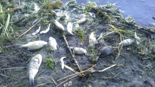 ����� � ��� � ��� �����: ���� ��� ���������� � ������, � ������� ���� �� ������ (�����)