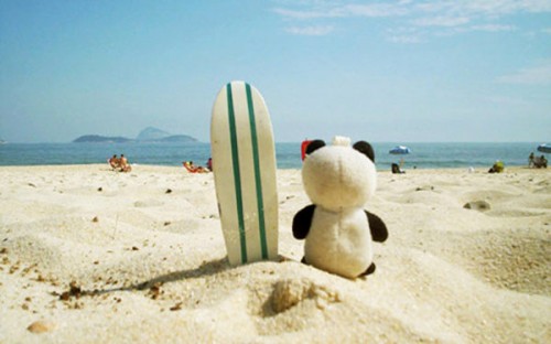 ���� ��������� ������������ ������ ��������: ������� ���������� ����������� (�����)