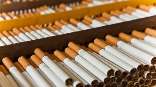 ���� ������ �� �����: ���������� �������� �������� �� �������� ������������ �����