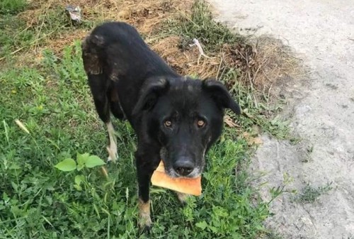 ��������� ������� � ���������: ������ ������ �� ��� ������� ��������� (����)