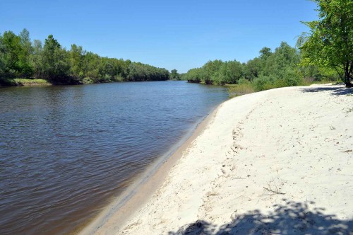 ��� ����� ��������: � ����������� ������� ��������� ���������-����������� ��������� ������