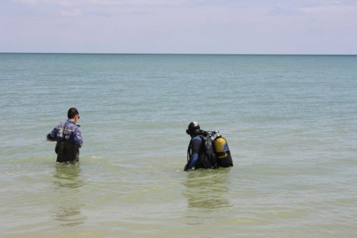 ������ ������� ������� �� ��� ��������� ����