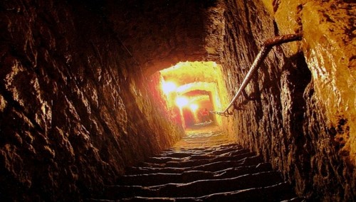 � ���������� ������� �������� � “�����” ������ (�����)