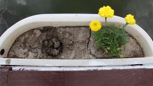 � ��������� �� �������� �������� ��������� �������������� ����