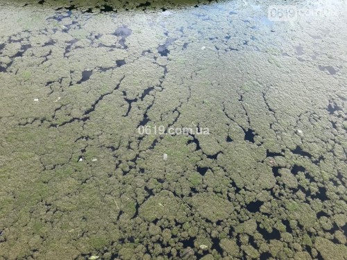 � ����������� ������� � ������ ������ ������������ ������� ���� (����)