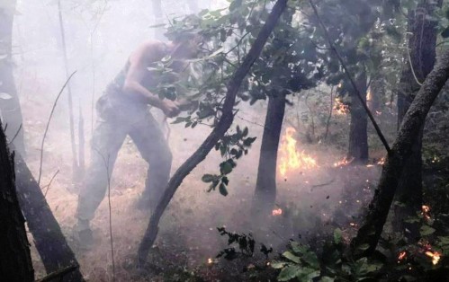 25 ���������� ������ ����� �� ���������� ������������ ����������� (����)