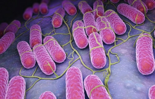 � ����������� ������� ������� ����� ����� ����� �� ����� ��������