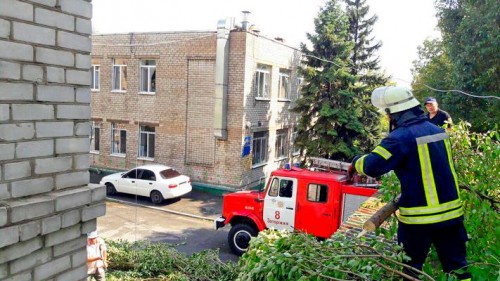 � ��������� �� ������� �������� ������� ������� (����)