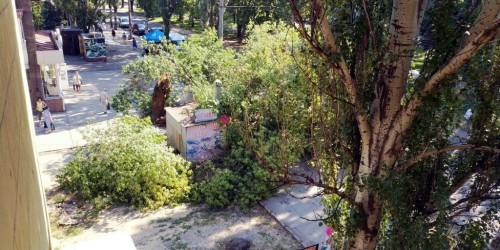 � ��������� ������� ������ ������� �� ������� � �������� ����� (����)