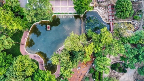 � �������� �� ���������: ��� �������� �������������� ���� � ������ �������� ������ (����)