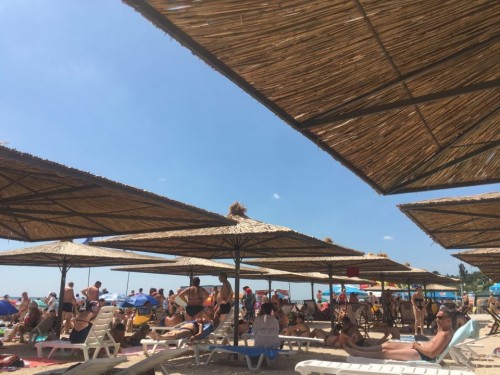 � ���������� ������������ ������� ����-����� (����)