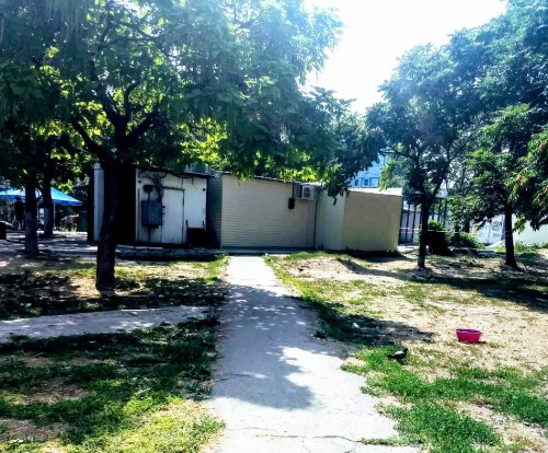 � ��������� �������� � ������������ �������������� ��������  (����)