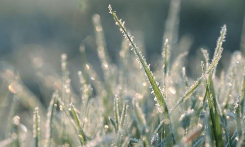 ��������� ������������ ��������� �� ����������� ������� ��� � �������