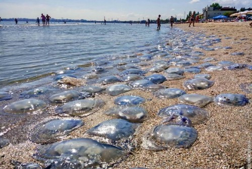 ���� �������� � ��������� ���������� ��������� ���� (����, �����)