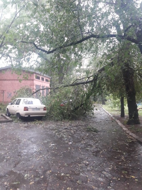 ��������� � ������ ��������� ����������� ������ (�����)