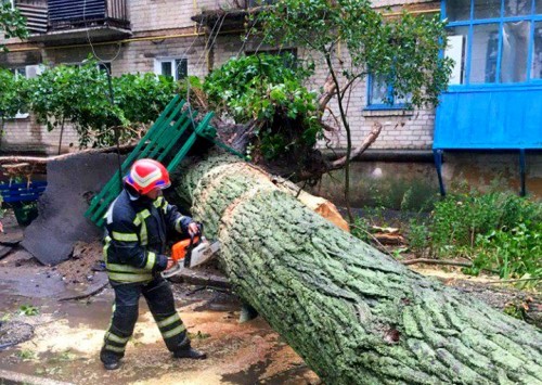 ���������� ������, ���������� ������� � ����������� �����: ����������� ��������� ������������� ��������� ������ ��������� (����-�����)