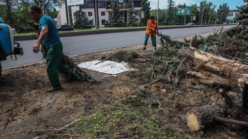 ��������� �� «�����» � «�����������������» ������������� ����������� �������� � �������������� ������