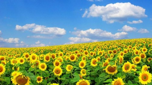 ��� � ��������� ����� ����������� ���� �������������