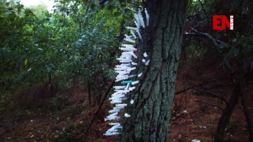 � ����������� ������� ��������� ������ ���� �������� ����������� ���� «�����» (����)