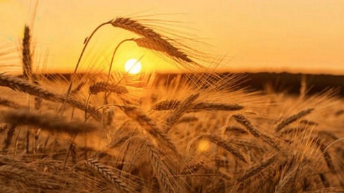 ����� ����� ������ � ������� �� ����� ����