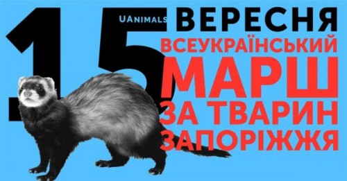 � �������� ���������� ��������� ����� �� ���� �� ����� ��������