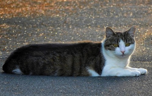 � ��������� ������ ��������� �� ����� ����� ��� �����