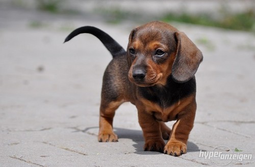 ������ ��������� �������� �� ������ �����, ��� ������� ������