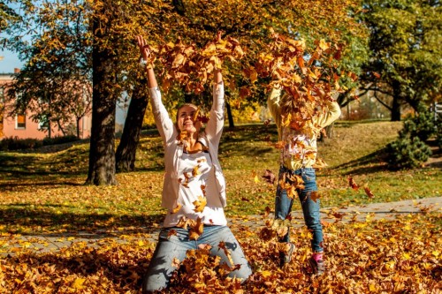 ������ ���� �������� �� �� ����� ��������� ������ � ������