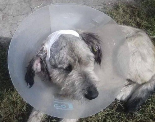 ��� ���������� ������� ������������� ���� �����������, ������� ������� �� ������ (����)