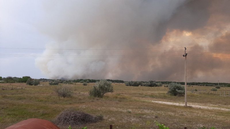 
			����������� ����: �� ������� ����� ���������� ���� ������� �� 2/3		