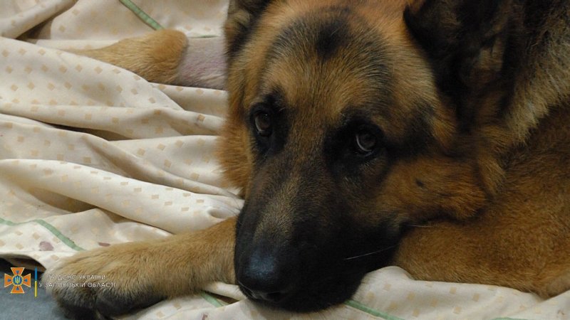 
			����� ����� ��� ���� ������, ��� ������� ���� ��������� � �� ������&hellip;		