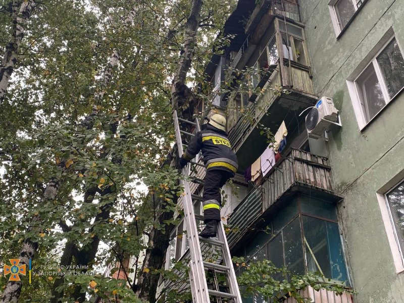 
			����� ��������: � ������� ������������ ��������� �������� (����)		