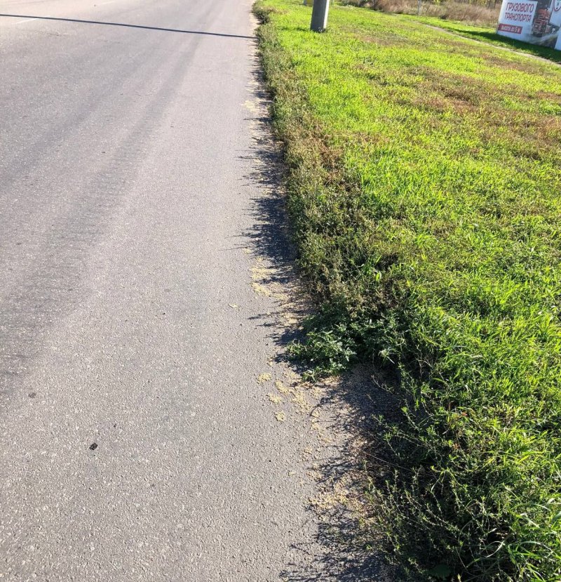 
			� ���������� ������� ����� ������ ������� �������� ����� � ��������		