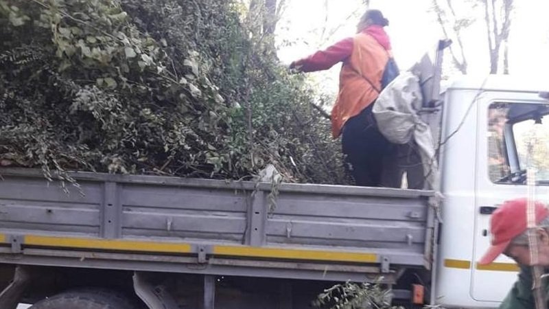 � ����������� ������ ����� ���� ����� �� ��������� ���� 