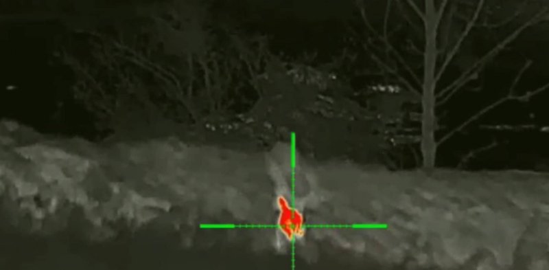 
			�� ������� ������� ��������� � ����� ���� ��� �������� ��������� � ��&hellip;		