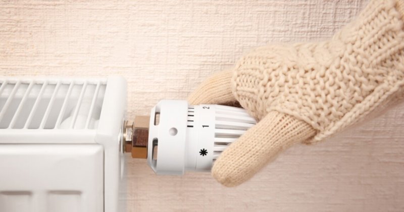 
			�� ������������ �������� �������� ������� �������� �����: ��������&hellip;		